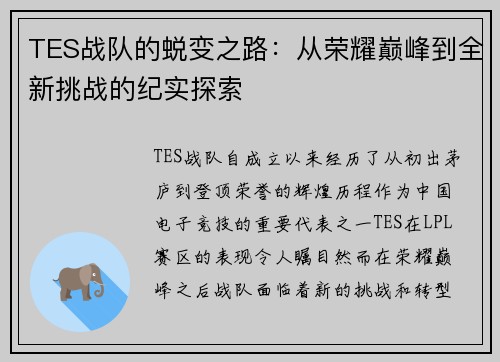 TES战队的蜕变之路：从荣耀巅峰到全新挑战的纪实探索